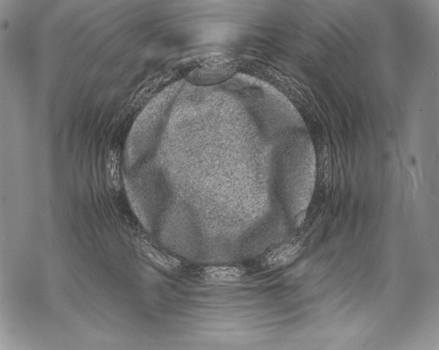 X0000071860234200607290205