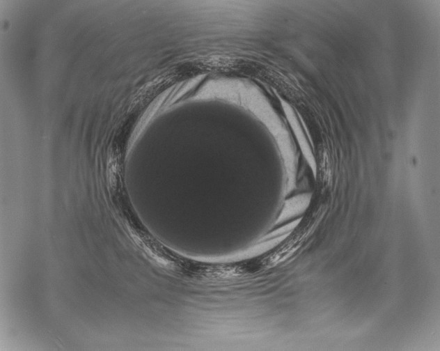 X0000071860235200607290205