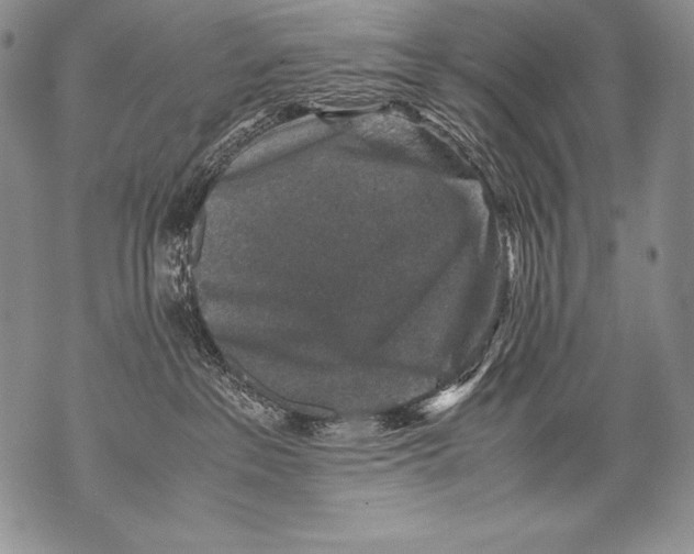 X0000071860237200607290205