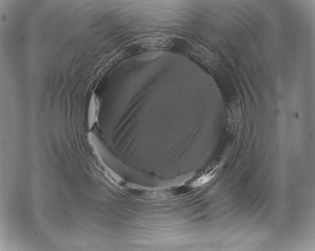 X0000071860239200607290205