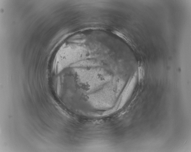 X0000071860243200607290204