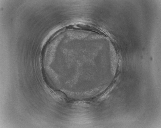 X0000071860244200607290204