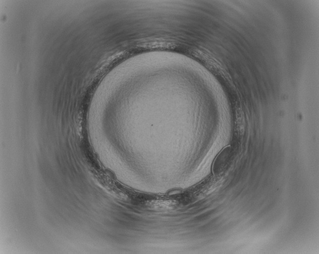 X0000071860255200607290204