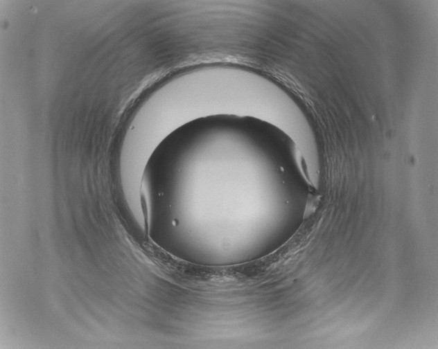 X0000071860256200607290204