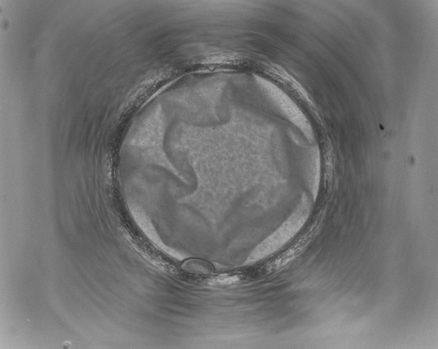 X0000071860257200607290204