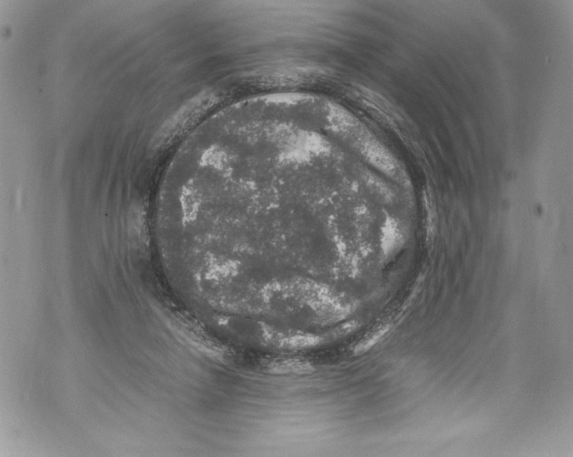 X0000071860258200607290204