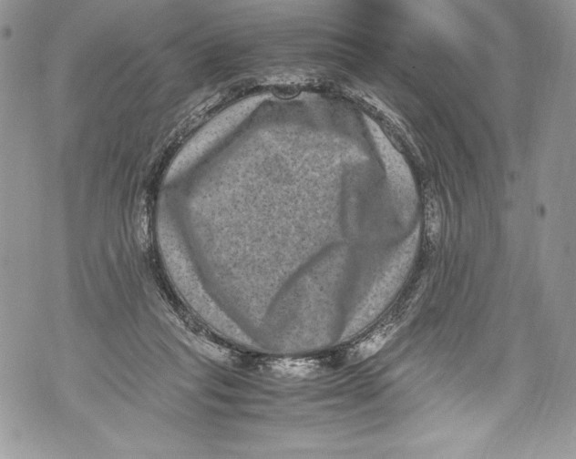 X0000071860261200607290204