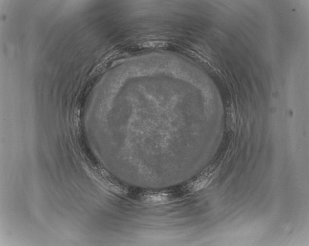 X0000071860263200607290204