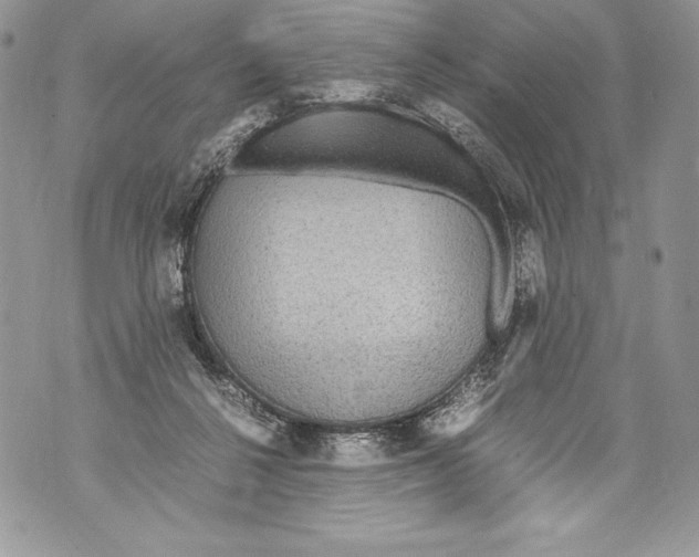 X0000071860264200607290204