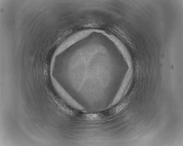 X0000071860265200607290204