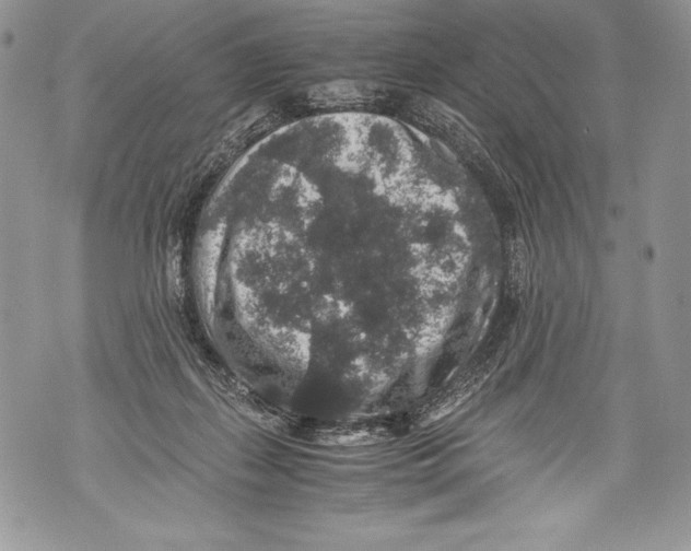 X0000071860267200607290204