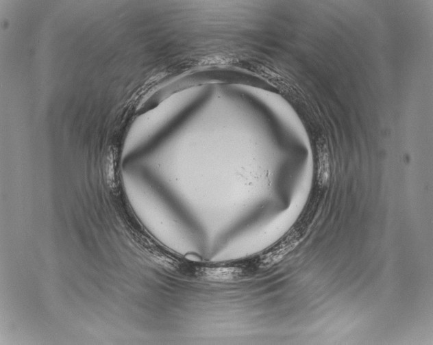 X0000071860268200607290204