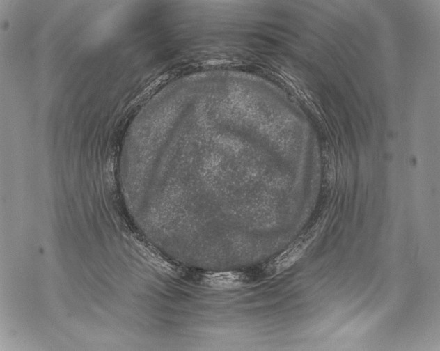 X0000071860269200607290205