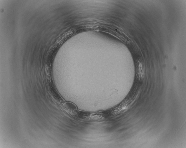 X0000071860270200607290205