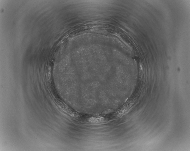 X0000071860271200607290205