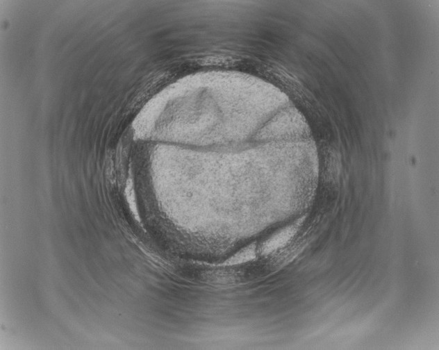 X0000071860273200607290205