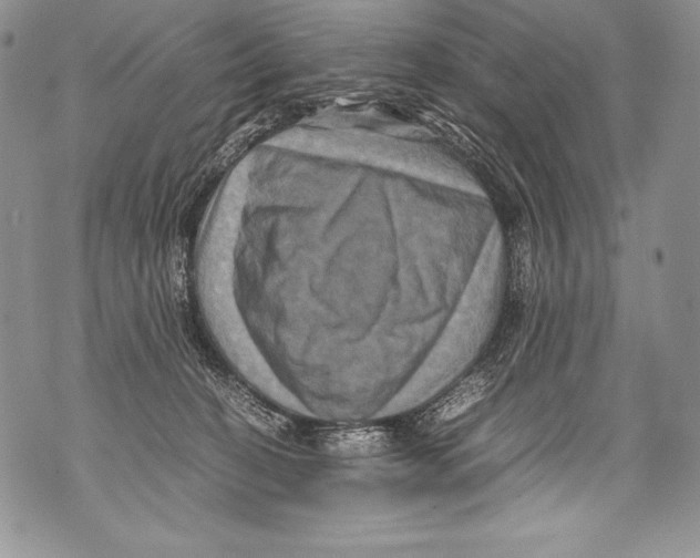 X0000071860274200607290205