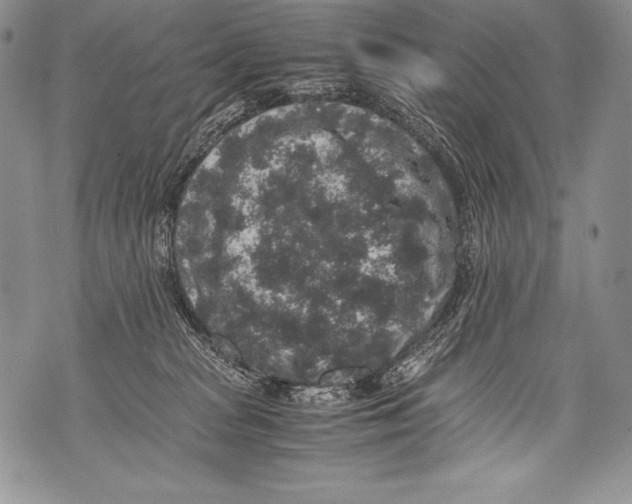 X0000071860277200607290205