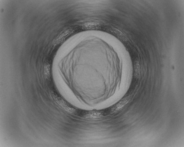 X0000071860278200607290205