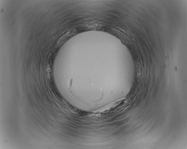 X0000071860279200607290205