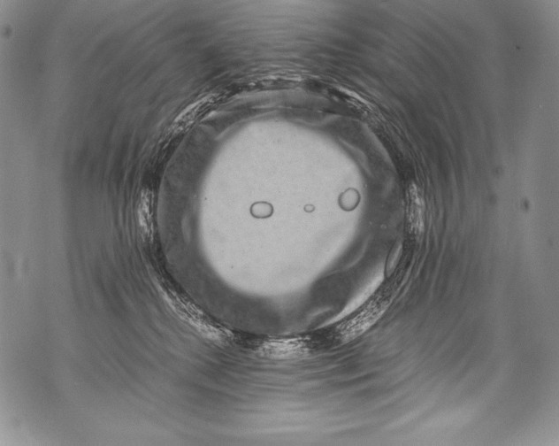 X0000071860280200607290205