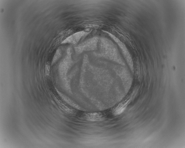 X0000071860281200607290205