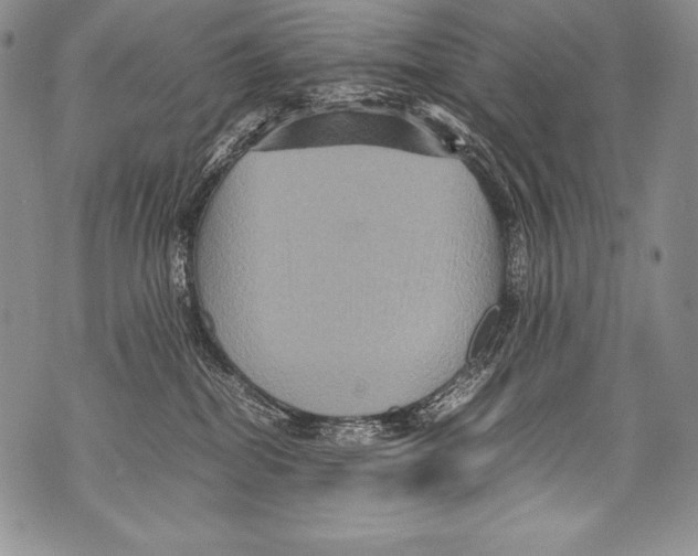 X0000071860282200607290205