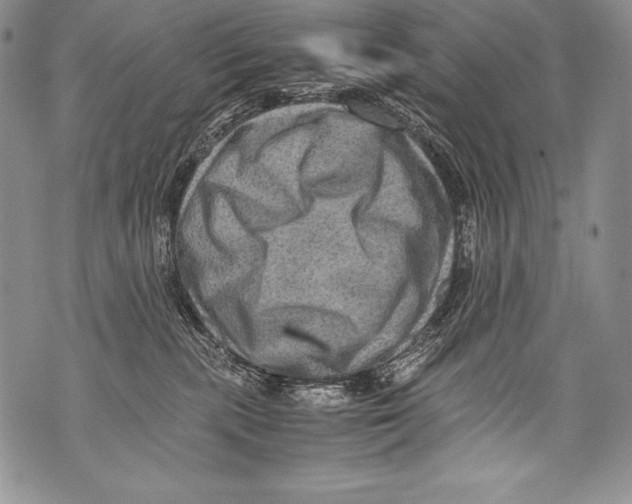 X0000071860283200607290205