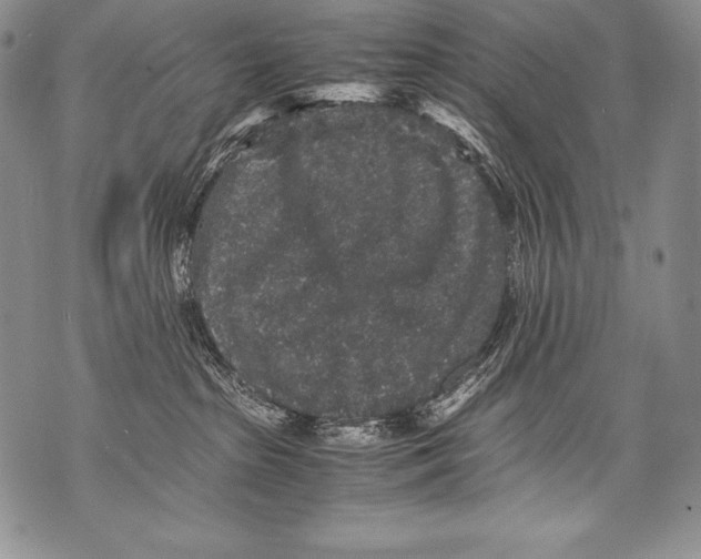 X0000071860285200607290205