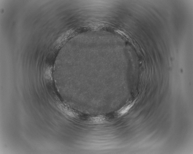 X0000071860286200607290205