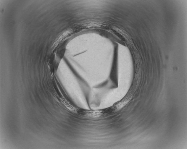 X0000071860288200607290205