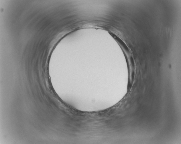 X0000071860289200607290204