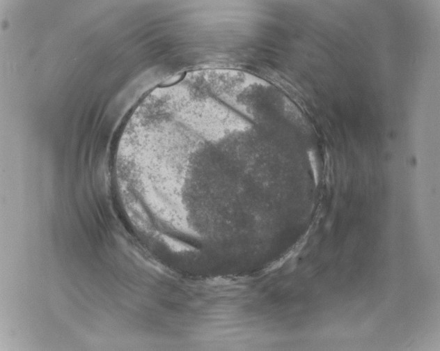 X0000071860290200607290204