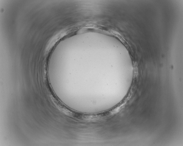 X0000071860293200607290204