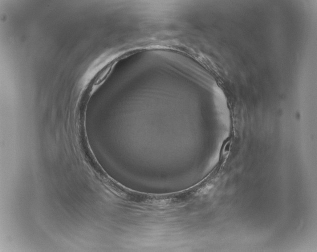 X0000071860295200607290204