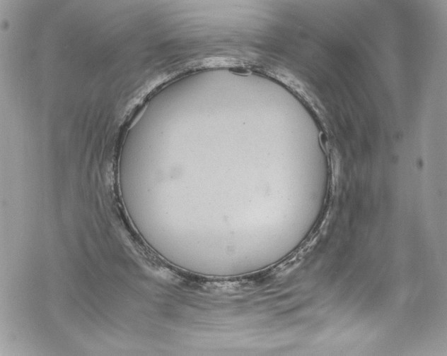 X0000071860297200607290204