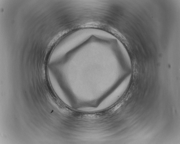 X0000071860298200607290204