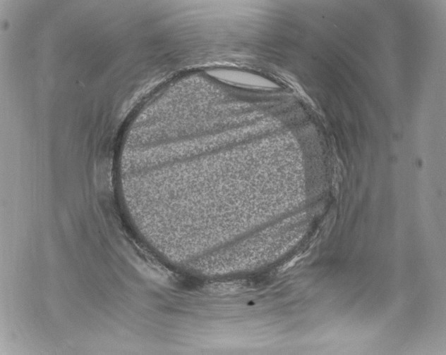 X0000071860299200607290204