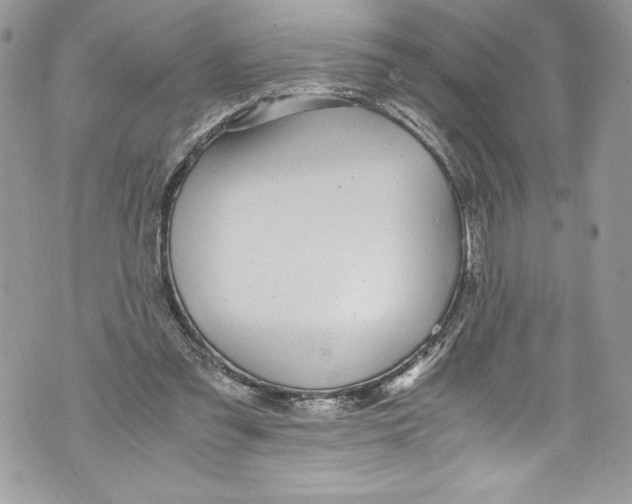 X0000071860301200607290204