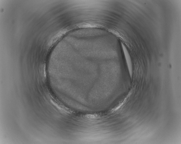 X0000071860302200607290204