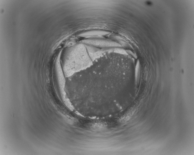 X0000071860303200607290204