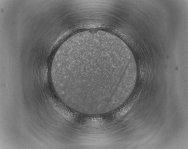 X0000071860304200607290204