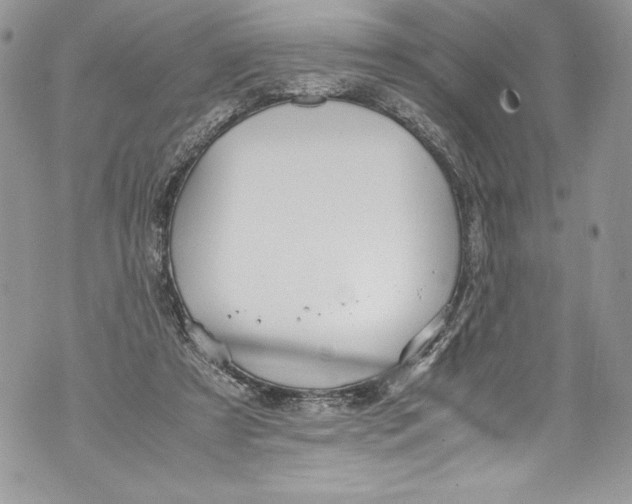 X0000071860305200607290204