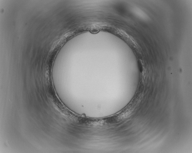 X0000071860306200607290204