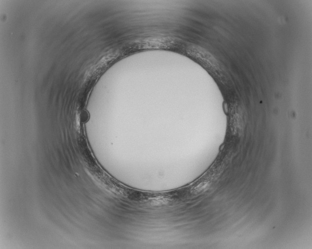 X0000071860310200607290204