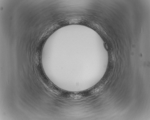 X0000071860311200607290204