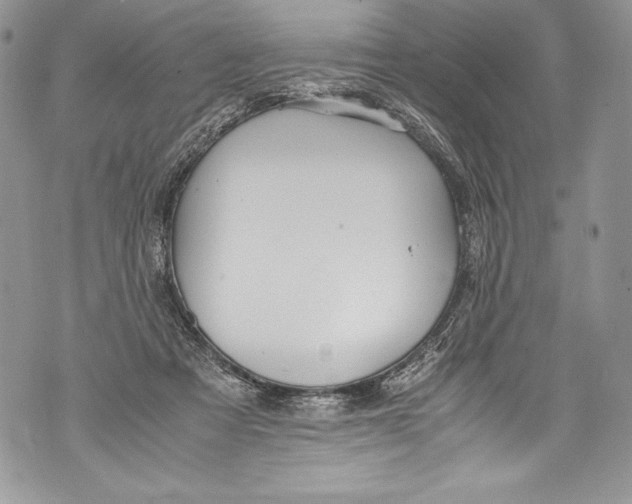 X0000071860313200607290204