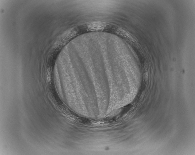 X0000071860315200607290204