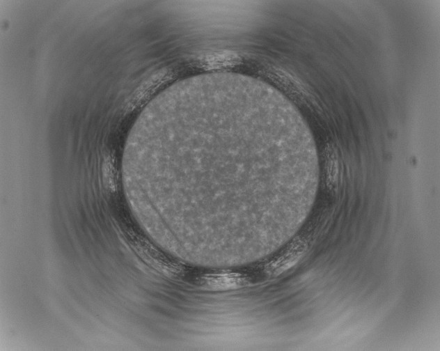 X0000071860316200607290204