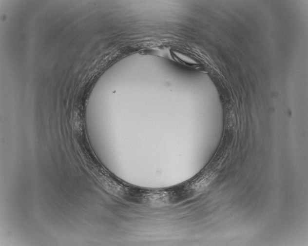 X0000071860317200607290204